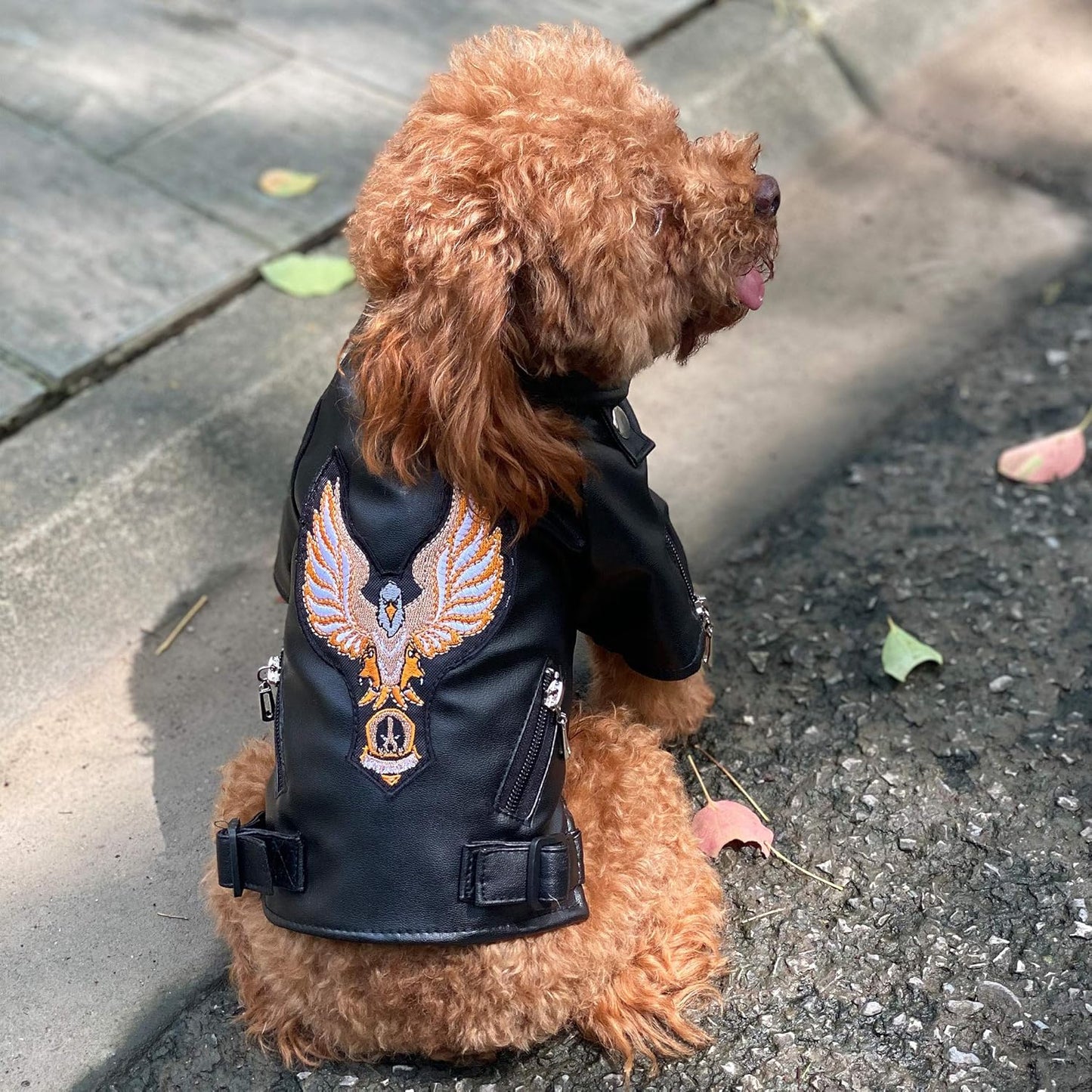 ტყავის ქურთუკი