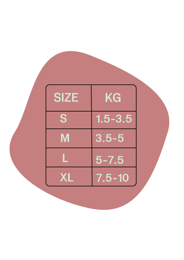 ბარბის მაისური