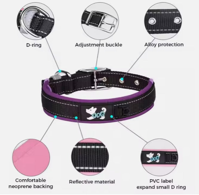 საყელო Dog