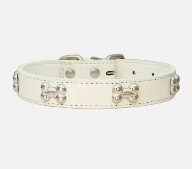 საყელო ძვლებით