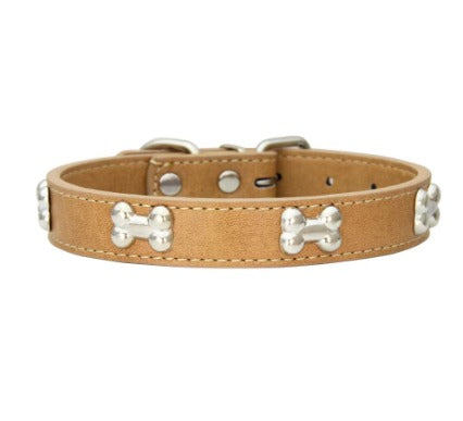 საყელო ძვლებით