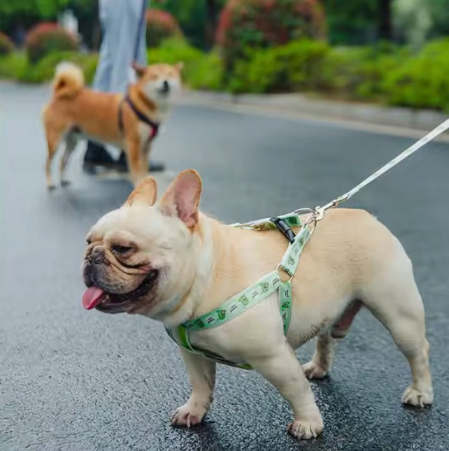 შლეიკა დინო