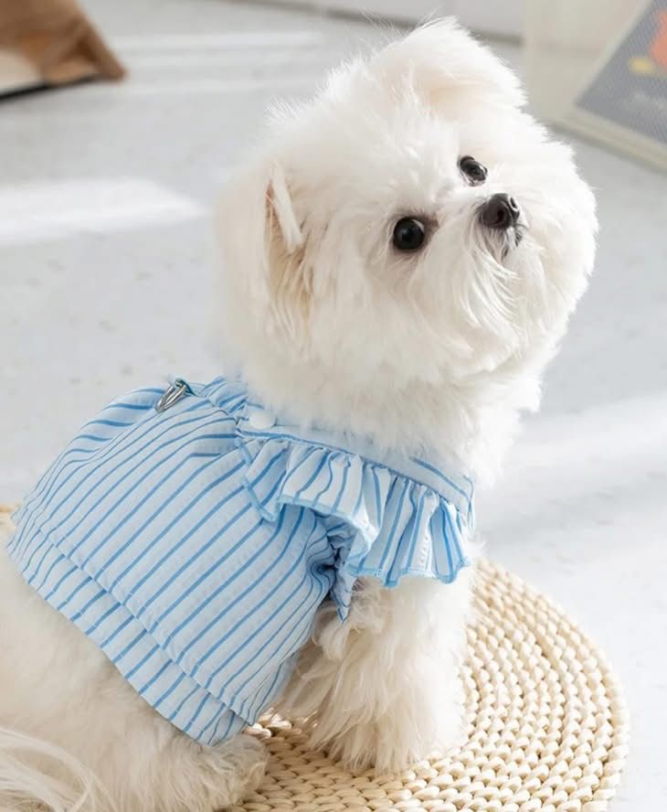 საზაფხულო კაბა