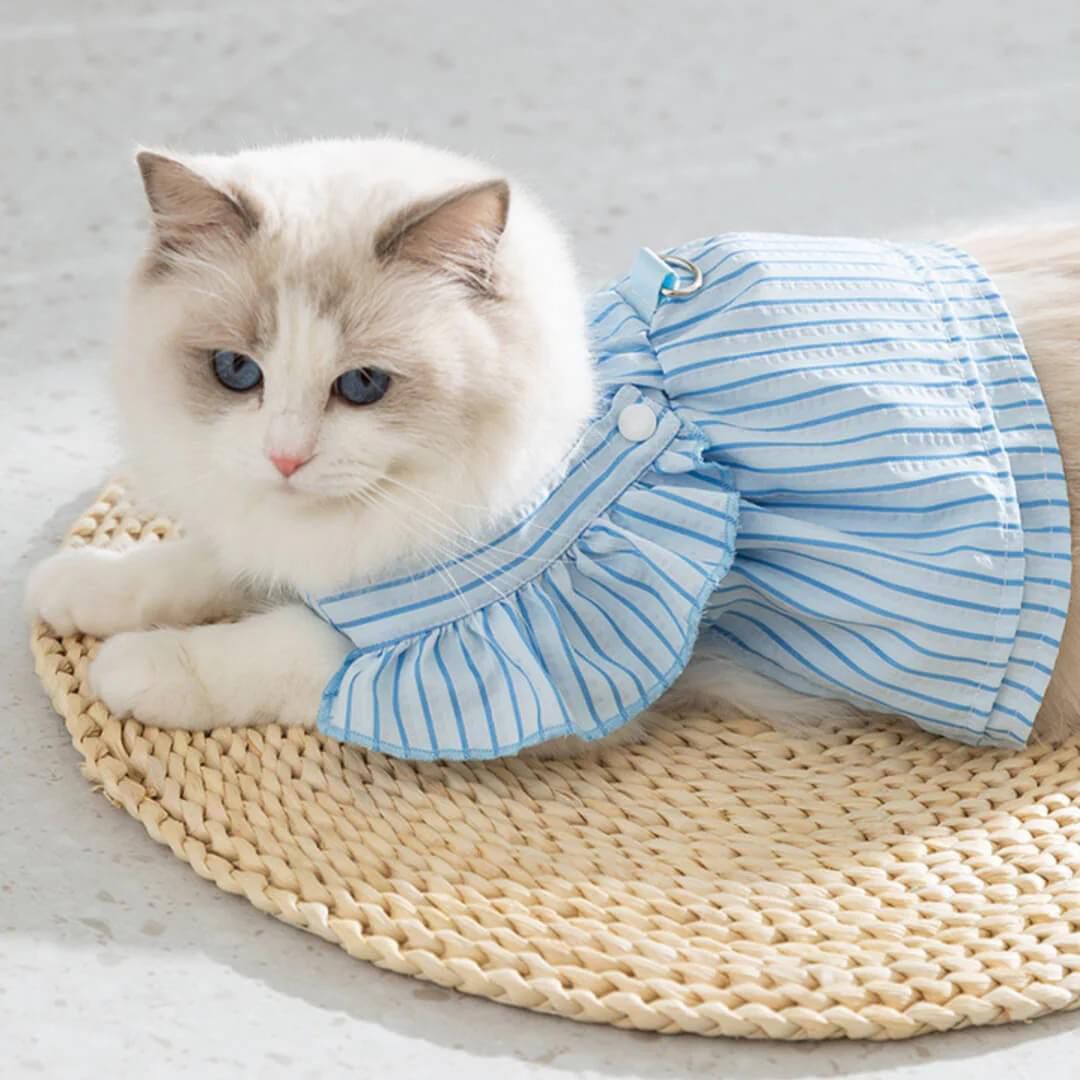 საზაფხულო კაბა