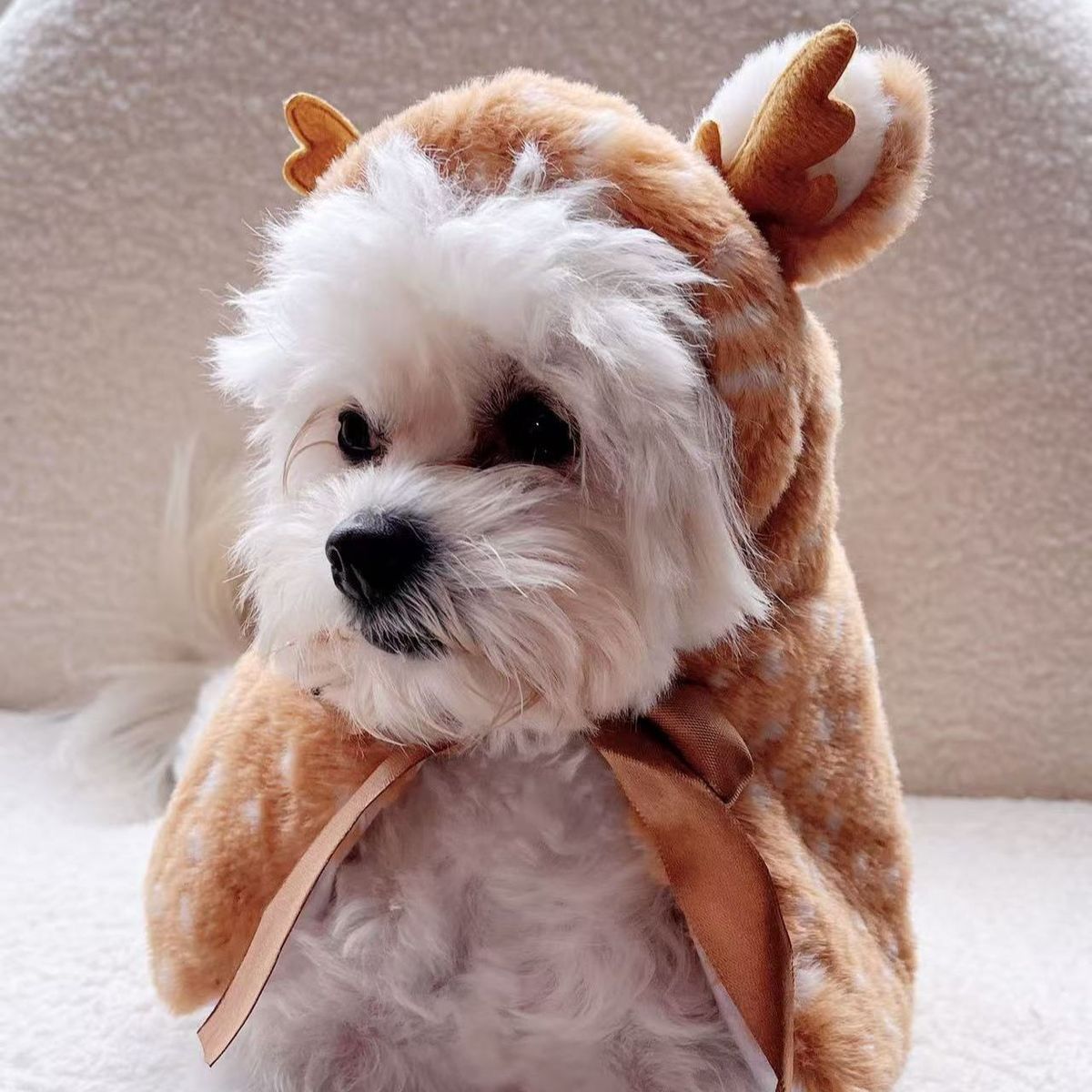 ძაღლის/კატის Christmas Costume Elk