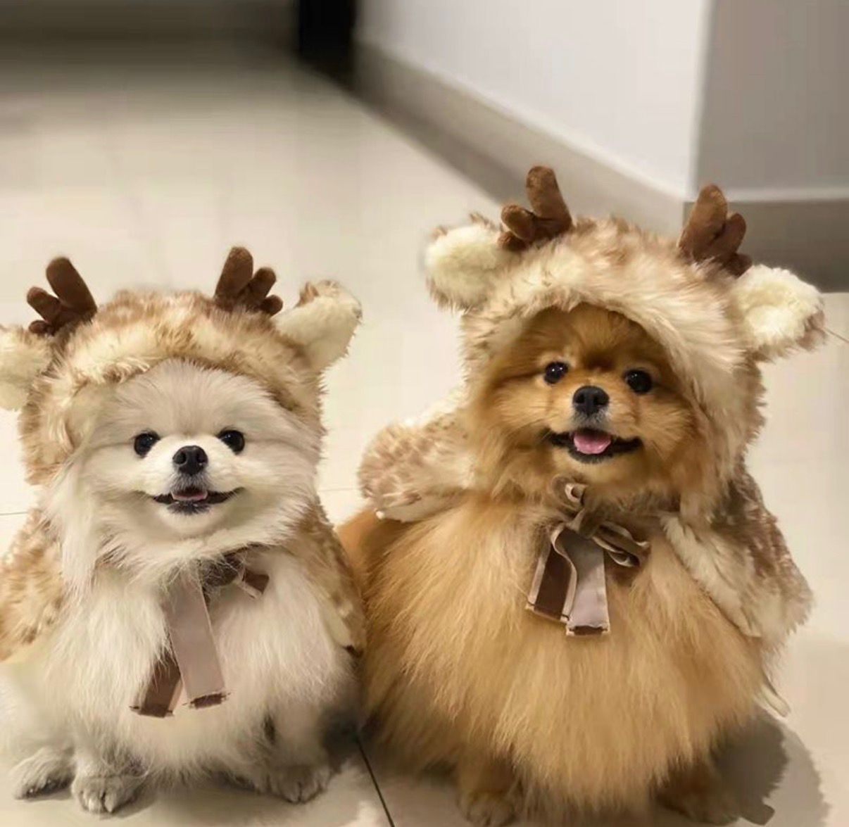 ძაღლის/კატის Christmas Costume Elk