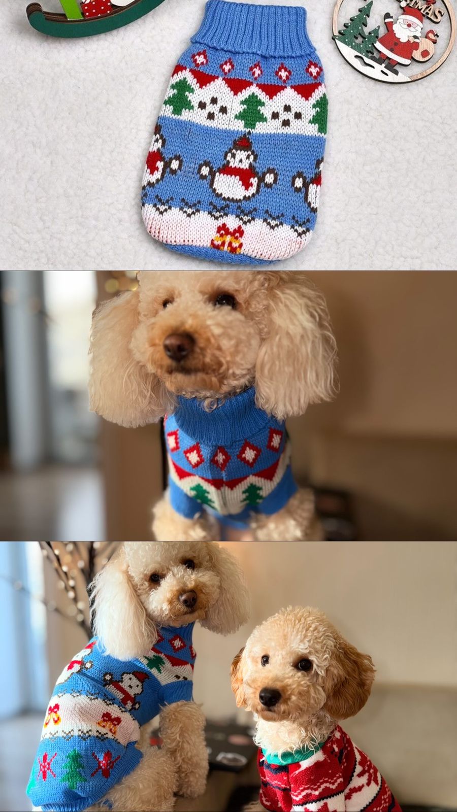 ძაღლის/კატის საახალწლო ლურჯი როლინგი