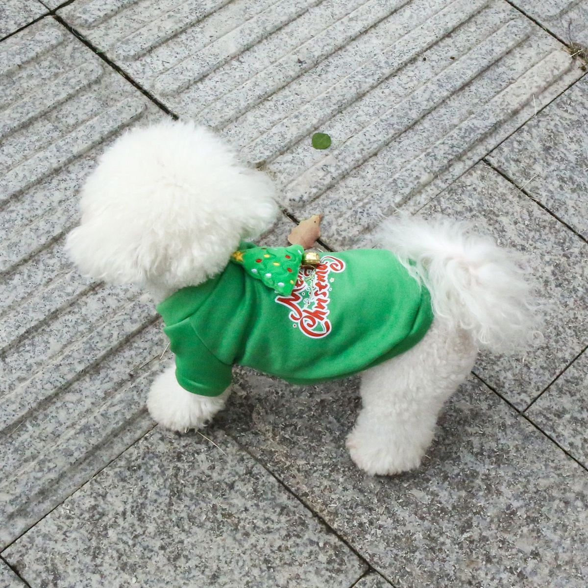 ძაღლის/კატის საახალწლო ჰუდი