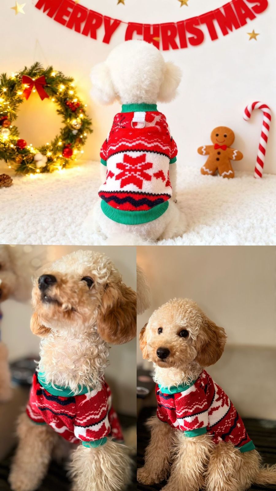 ძაღლის/კატის წითელი საახალწლო ზედა