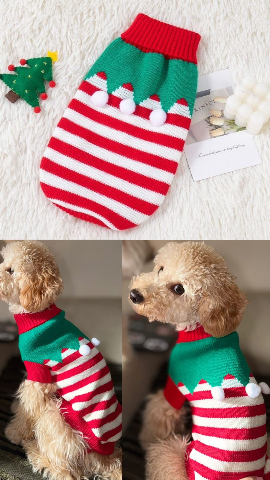 ძაღლის/კატის საახალწლო როლინგი