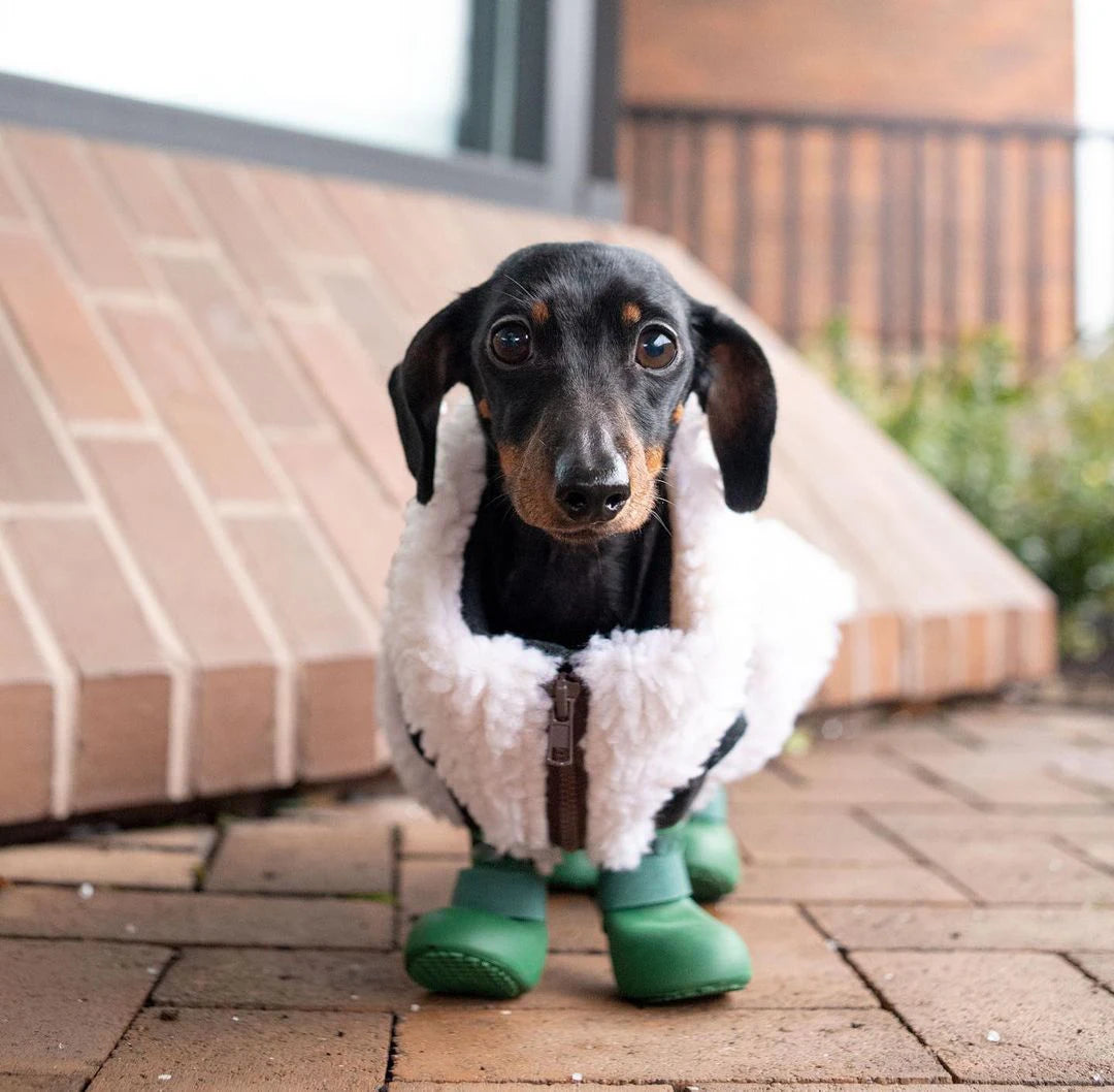 საწვიმარი ფეხსაცმელი