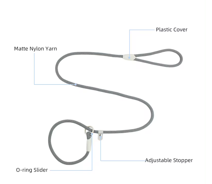 ძაღლის საწვრთნელი საბელი