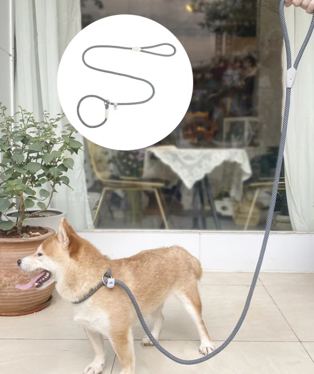 ძაღლის საწვრთნელი საბელი