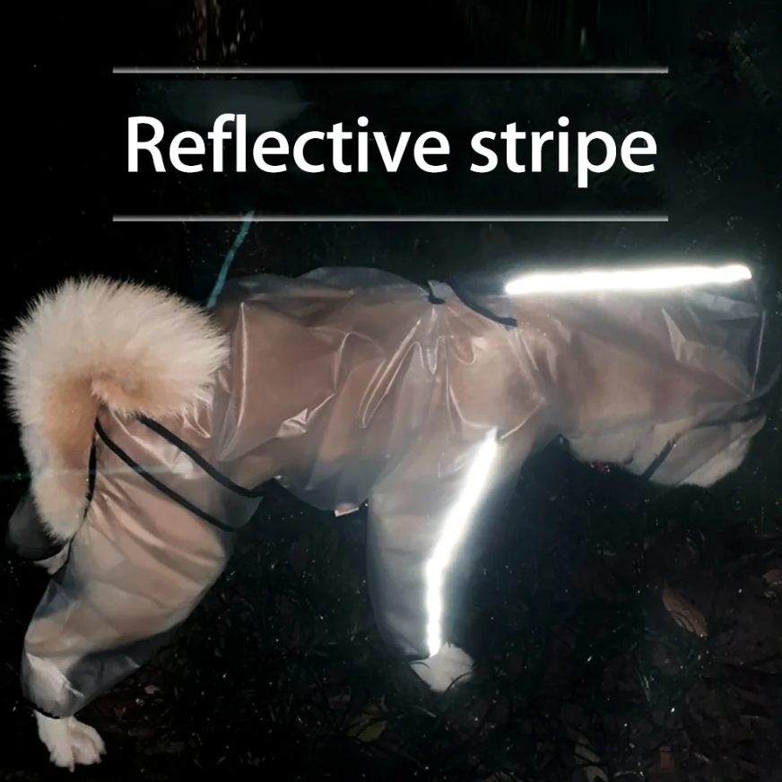 ძაღლის საწვიმარი WE ARE FRIEND