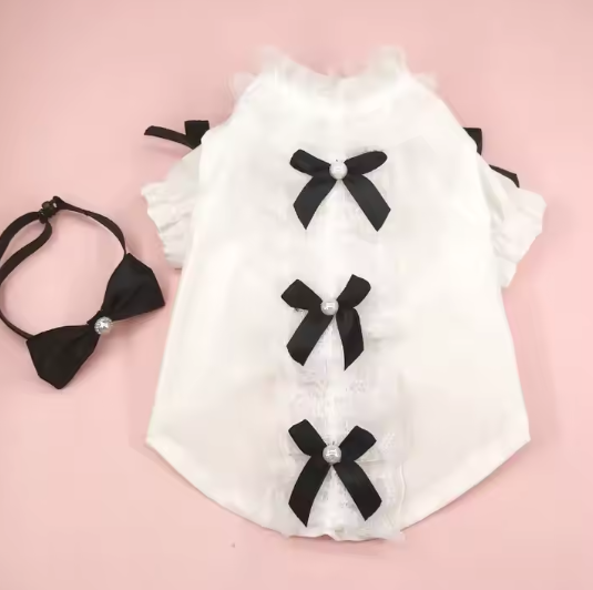 ძაღლის პერანგი ბაფთით