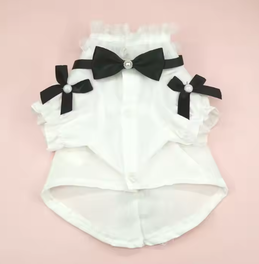 ძაღლის პერანგი ბაფთით