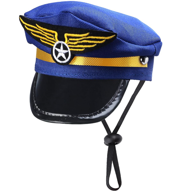 ძაღლის მეზღვაურის ქუდი