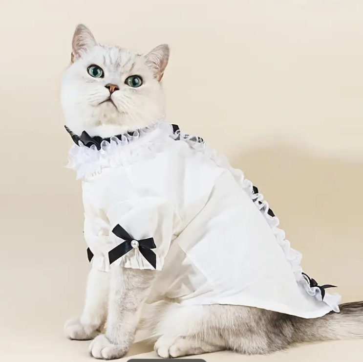 ძაღლის პერანგი ბაფთით