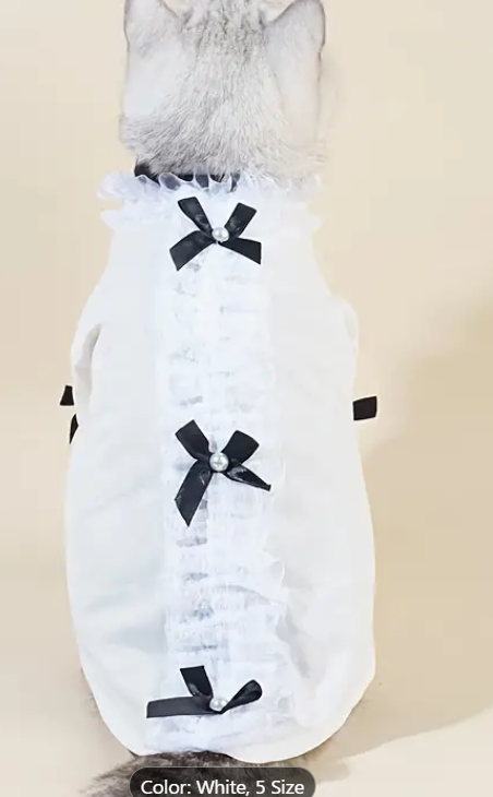 ძაღლის პერანგი ბაფთით