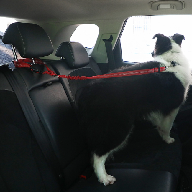 მანქანის საბელი/ღვედი