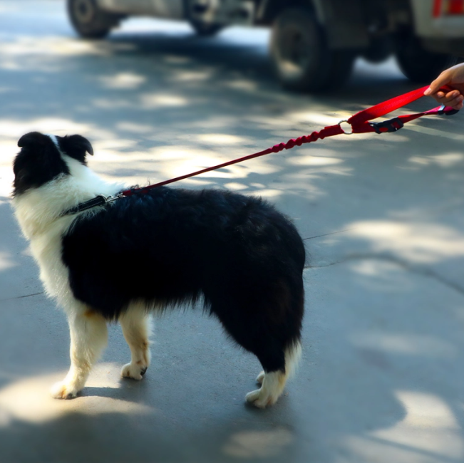 მანქანის საბელი/ღვედი