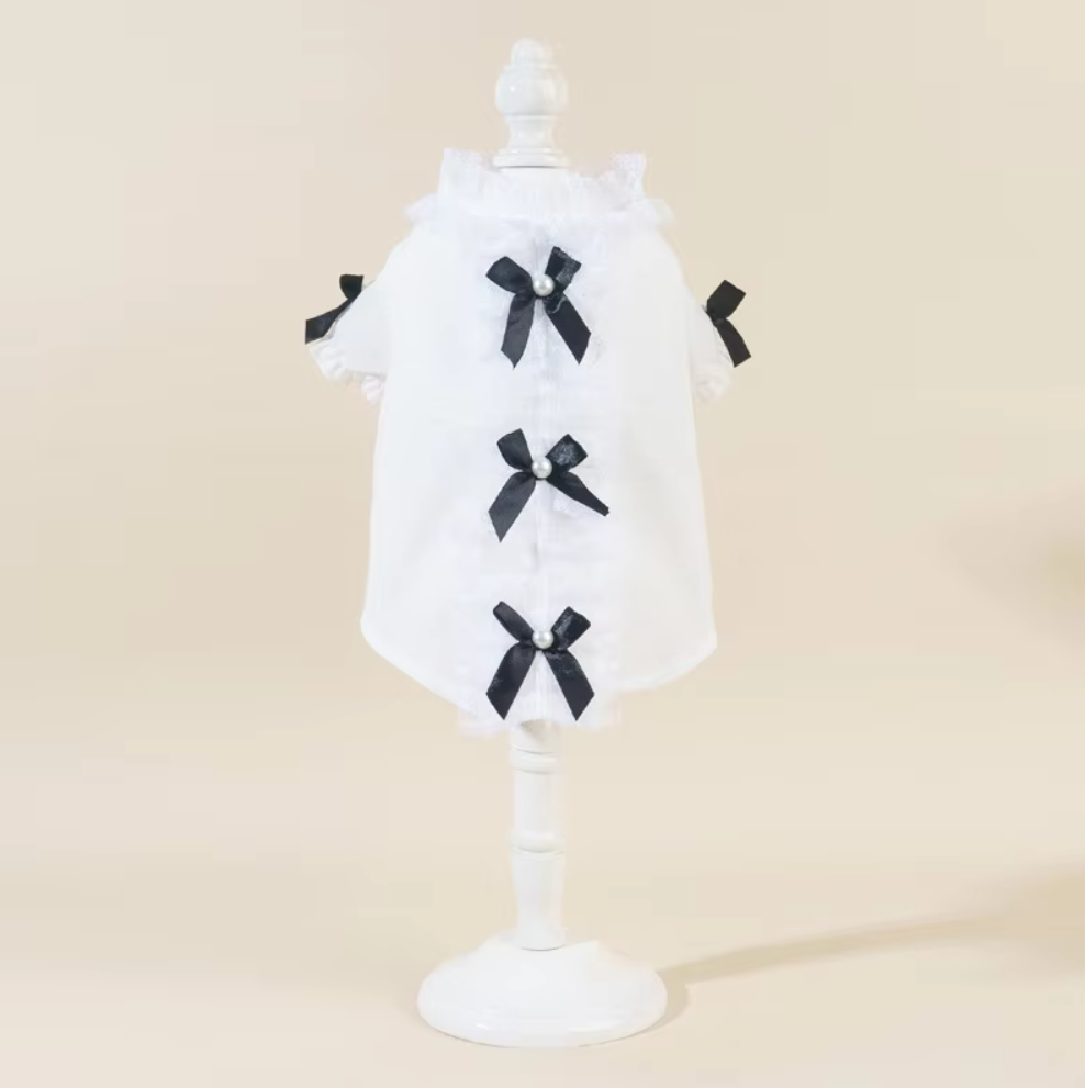 ძაღლის პერანგი ბაფთით