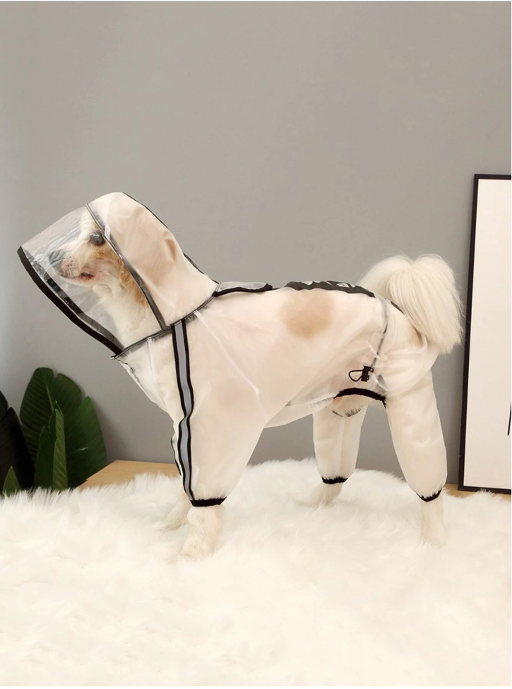 ძაღლის საწვიმარი WE ARE FRIEND