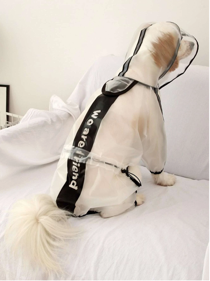 ძაღლის საწვიმარი WE ARE FRIEND