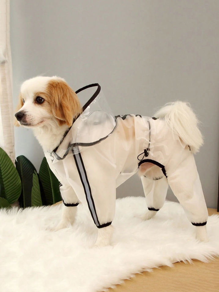 ძაღლის საწვიმარი WE ARE FRIEND