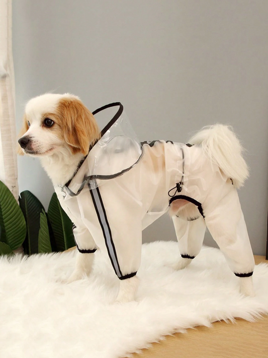 ძაღლის საწვიმარი WE ARE FRIEND