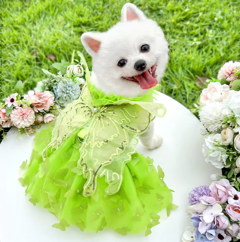 კაბები ფრთებით