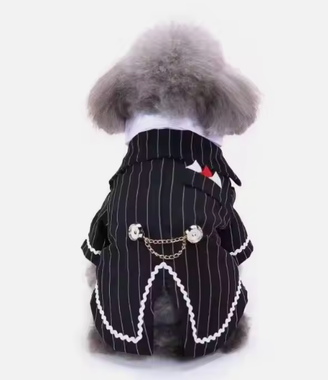 სმოკინგი სადა