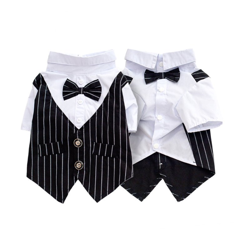 სმოკინგი ბაფთით