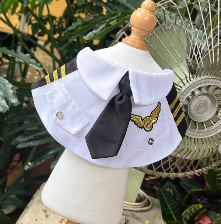 პილოტის ბენდენა