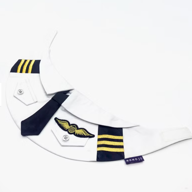 პილოტის ბენდენა