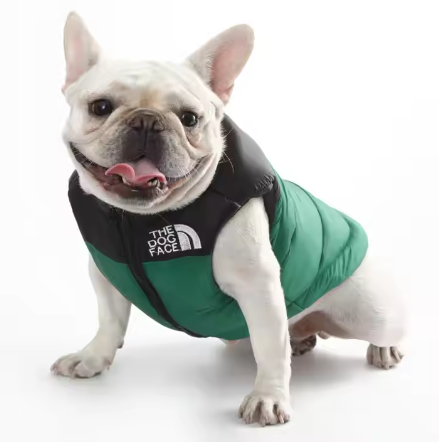 დუტის ჟილეტი The Dog Face