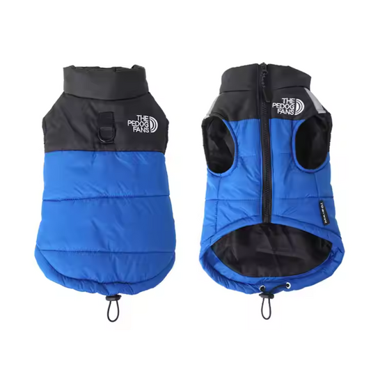 დუტის ჟილეტი