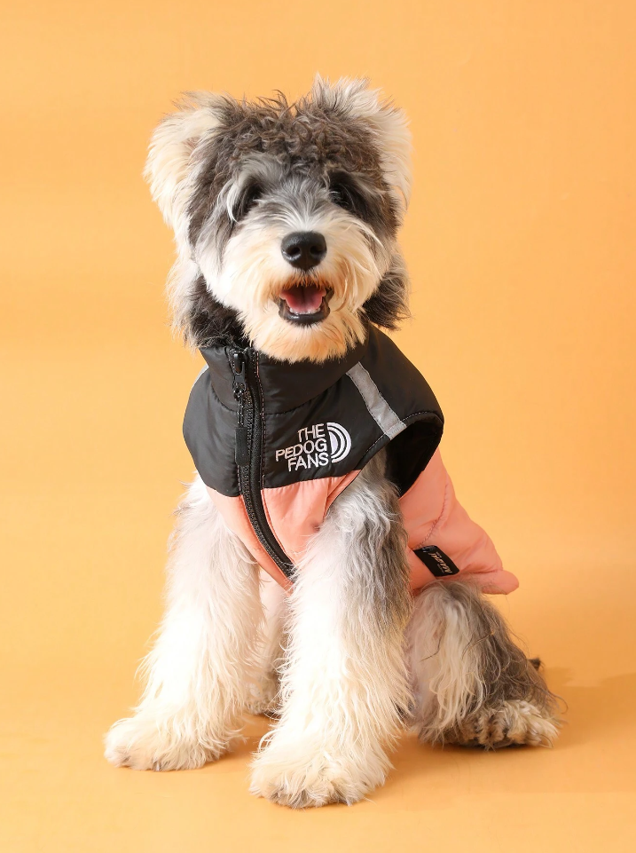 დუტის ჟილეტი