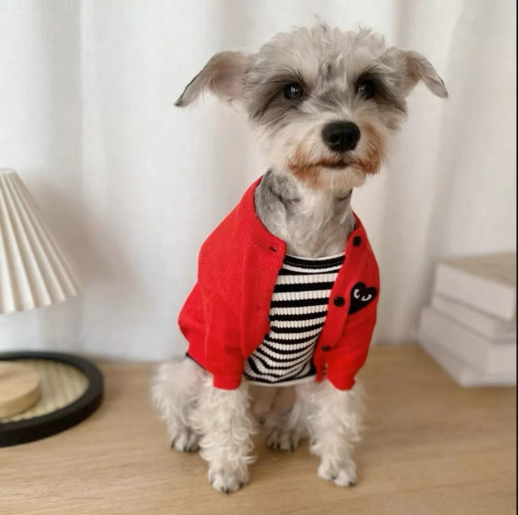 ნაქსოვი ჟაკეტი