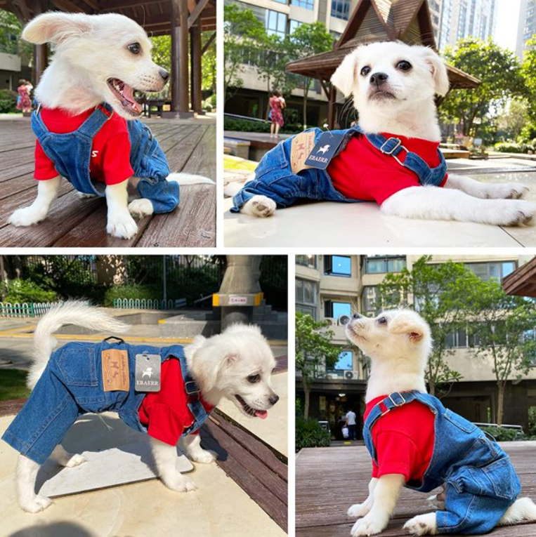 კომბინიზონი ჯინსის სადა