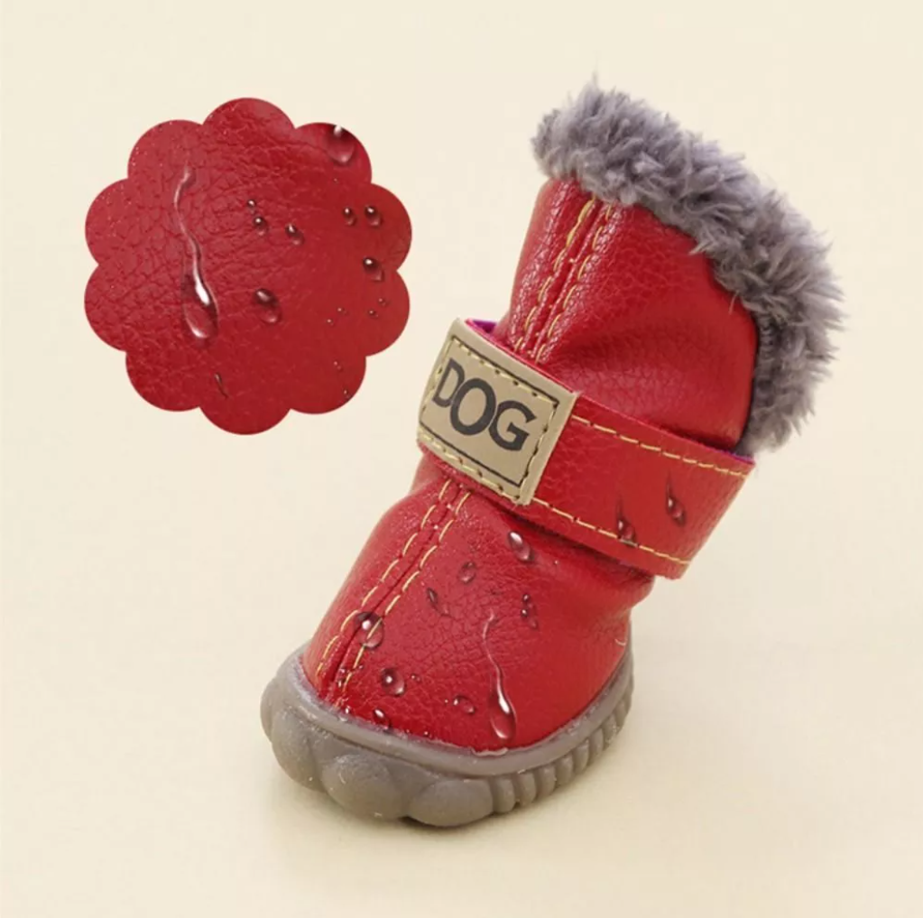 ფეხსაცმელი UGG