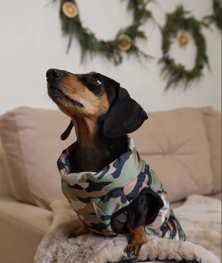 დუტის სამხედრო ჟილეტი