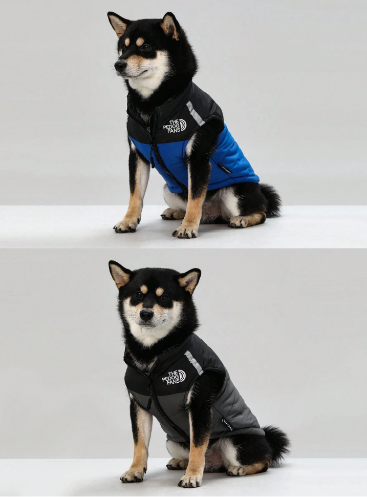 დუტის ჟილეტი