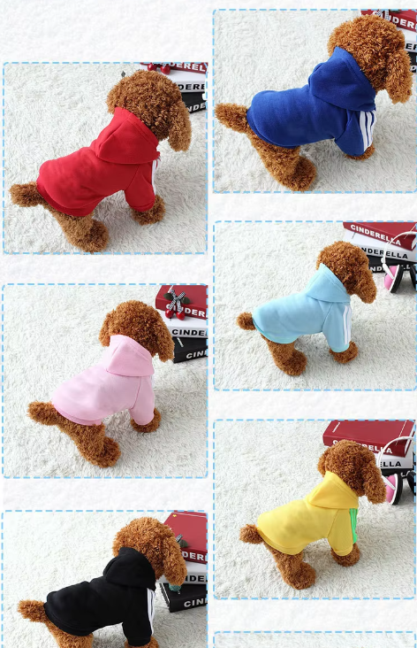 ჰუდი სადა