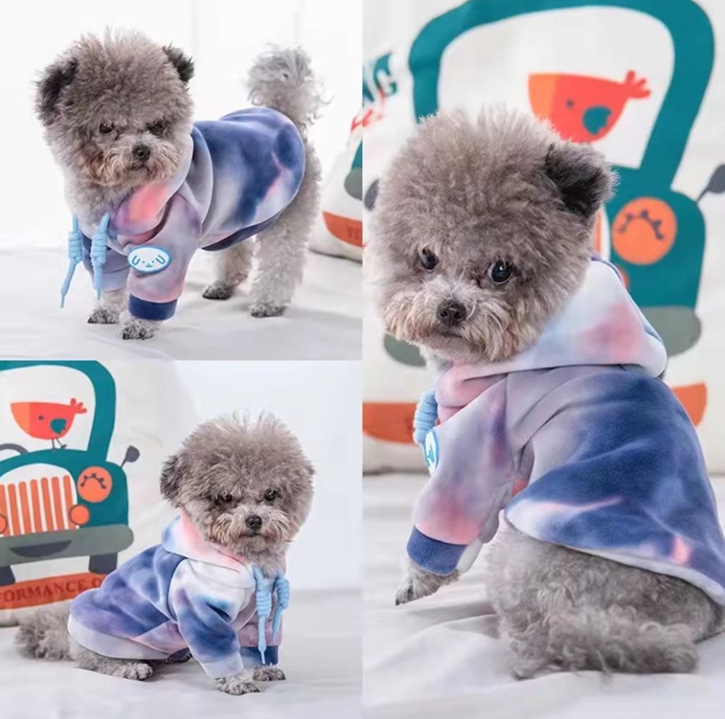 ფერადი ჰუდი