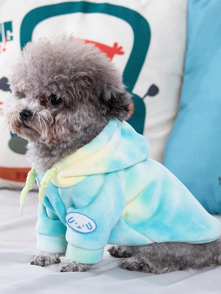 ფერადი ჰუდი