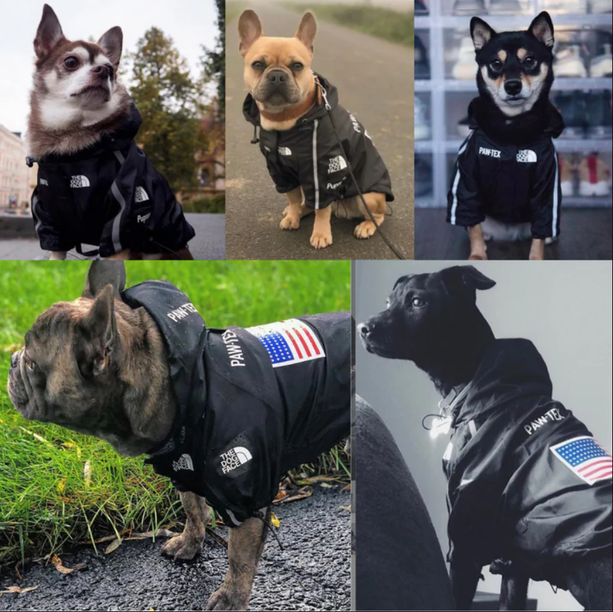 საწვიმარი "ამერიკა"