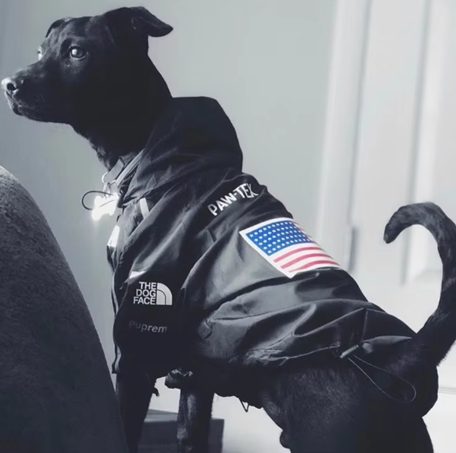 საწვიმარი "ამერიკა"