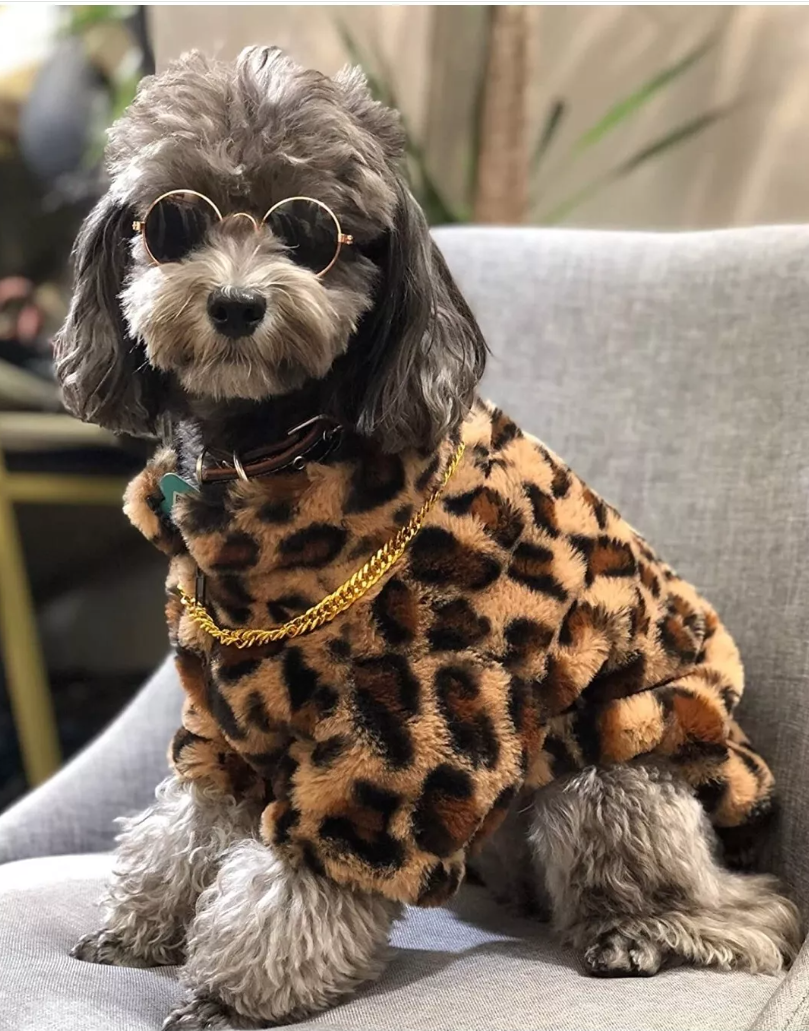 ფუმფულა მოსაცმელი