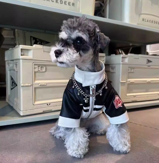 ტყავის ქურთუკი